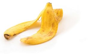 Banana Picture Out of stock