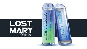 Lost Mary QM600 disposable vape banner