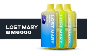 Lost Mary BM6000 Disposable vape mobile banner